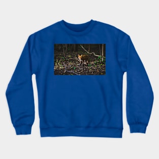 Wild life design Crewneck Sweatshirt